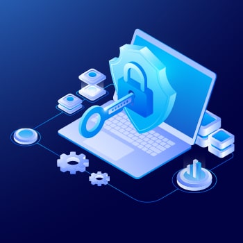 What is Web Application Security Testing