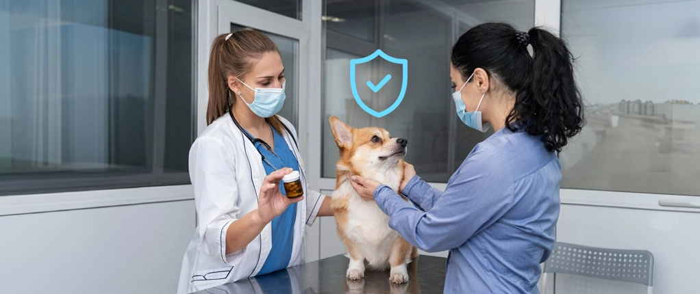 Pet Medical Insurance Case Study