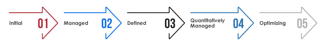 Agile Maturity Model 