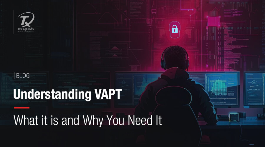 Understanding-VAPT