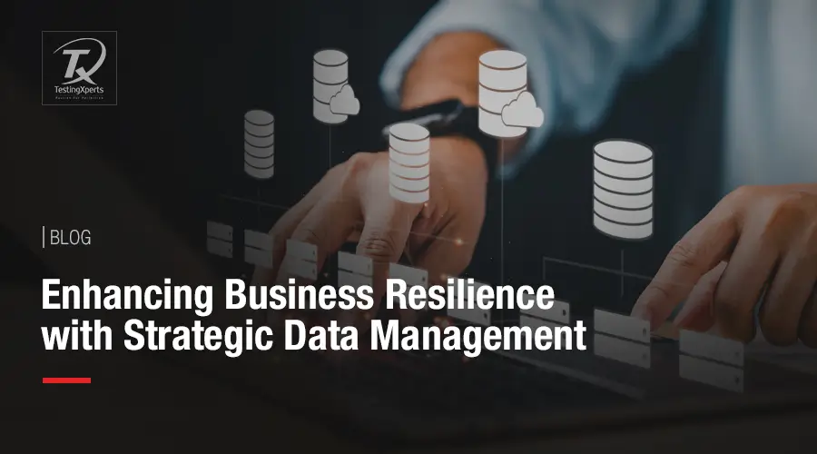 Enhancing Business Resilience with Strategic Data Management 